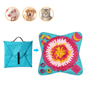 Pet educational toys