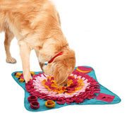 Pet educational toys