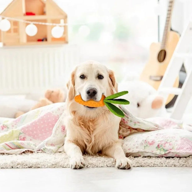 Carrot Dog Chew Toys Durable Rubber Squeaky Toy Shaped Dog Toys For Dogs Boredom Chewers Toothbrush Toy Supplies